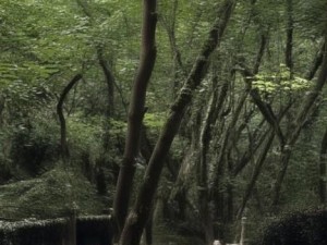 甘雨人气高的原因探析：角色魅力与游戏设计的完美结合