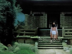 张峳雨小说、张峳雨笔下的情感交响曲与命运交织的故事探寻