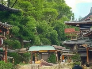 快速播放器：畅享无缝播放体验，提升视听享受的最佳选择