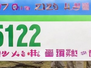 502 Bad Gateway错误解析与解决方案探讨