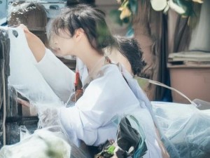 2023年B站免费开放新政策 用户体验全面升级引发热议