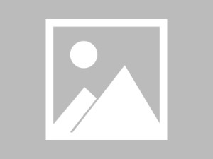 家宴的背后，一次意外的社交之旅老公请部长家里吃饭韩国电影片叫什么