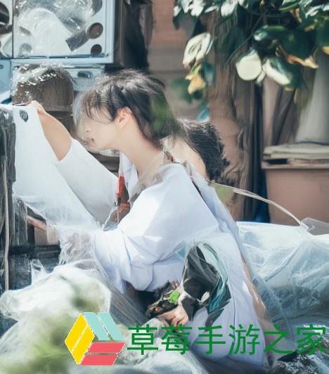 2023年B站免费开放新政策 用户体验全面升级引发热议