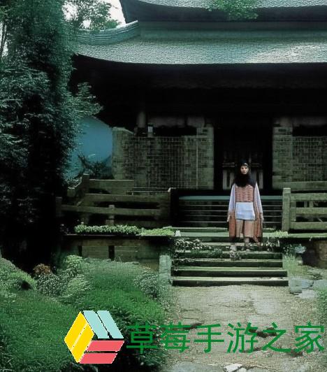 张峳雨小说、张峳雨笔下的情感交响曲与命运交织的故事探寻